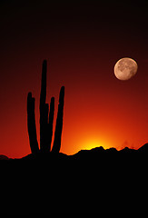 Image showing Vertical Composition showing Saguaro Cactus and Full Moon at Sun