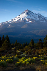 Image showing Mount Shasta Vertical Cascade Range West Coast