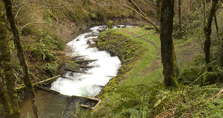 Image showing Fish Ladder