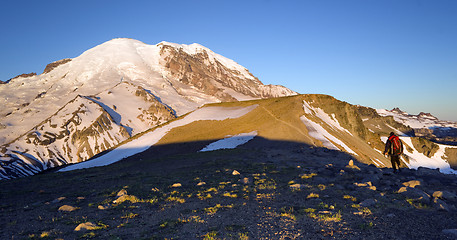 Image showing Hiker Heads Toward Mt. Rainier via Burroughs Mountain Washington