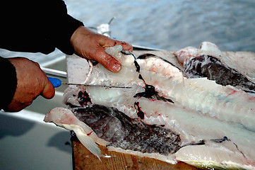 Image showing Fisherman