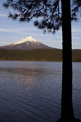 Image showing Mt Mcgloughlin Willow Lake Pine Tree Oregon Rural Country