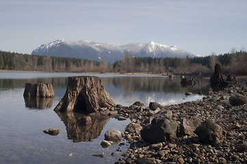 Image showing Tree Stumps Rattlesnake Lake Mount SI North Cascade Mountains