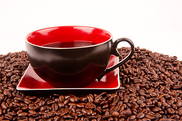 Image showing Cup of Coffee in Pile of Coffee BEans