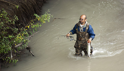 Image showing Local Male Fisherman Pulls a Salmon out of Puyallup River 