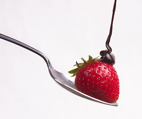 Image showing Chocolate hits the Raw Fruit Food Berry on a Spoon