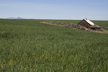 Image showing Abandoned Farm House Ghost Homestead Remains Agricultural Field