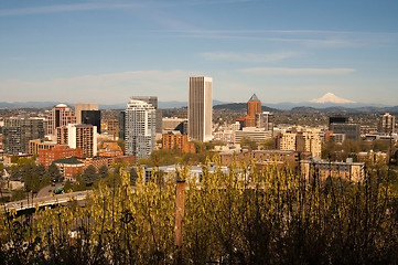 Image showing Downtown Portland Oregon Mt Hood Landscape