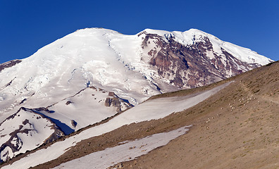 Image showing Mt. Rainier from Burroughs Mountain with Large Herd of Goats NMo