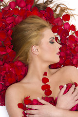 Image showing Almost Nude Female in Red Rose Petals Floral Flowers