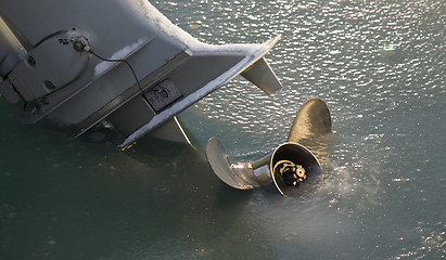 Image showing Frozen Prop