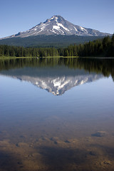 Image showing Mountain Lake Trillium Mount Hood Oregon Wilderness