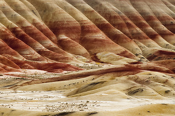 Image showing The Geology in Painted Hills Oregon State