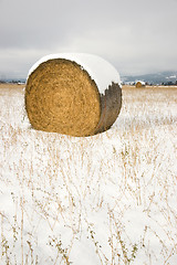 Image showing Circular Hay Bale in Snow Covered Field