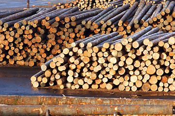 Image showing Lumber Mill Log Pile Wood Waiting to be Processed