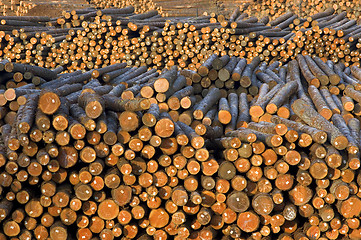 Image showing Lumber Mill Log Pile Wood Ready for Processing