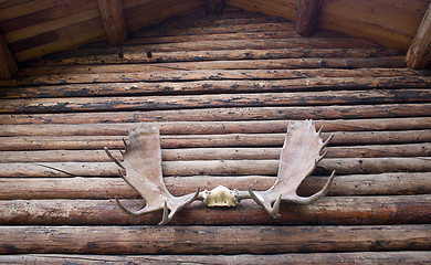 Image showing Moose Antlers on the Arch of Alaskan Homestead House