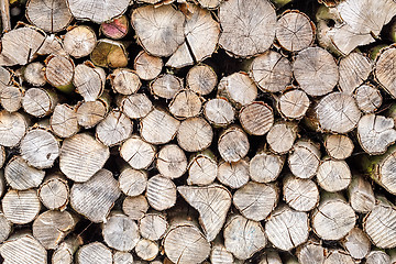 Image showing wood in pile outdoor 