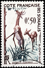 Image showing Gazelle Stamp