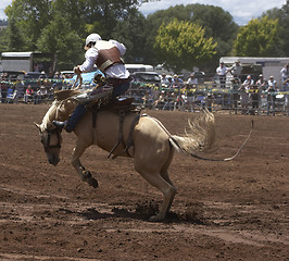 Image showing Rodeo Rider