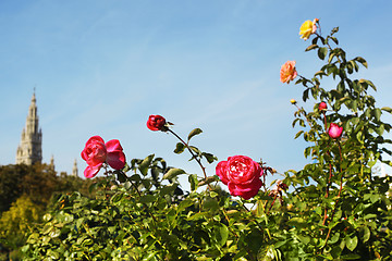 Image showing Green park with flowers