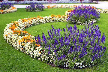 Image showing flower garden background