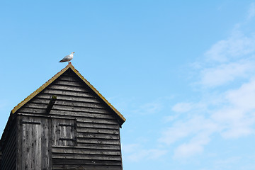 Image showing Seagull on the rooftop of a clapboard fishing hut