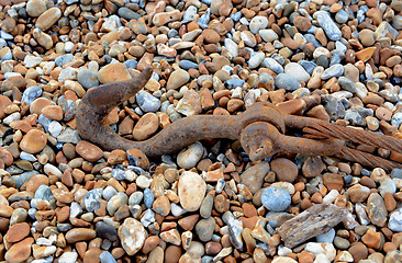 Image showing Rusty hook and cable on shingle