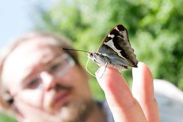 Image showing butterfly on man hand