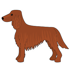 Image showing Irish Setter Dog