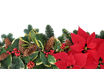 Image showing Winter Floral Border