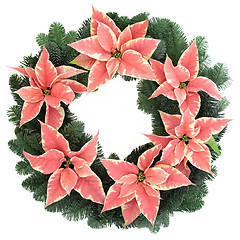 Image showing Pink Poinsettia Wreath