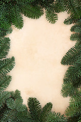 Image showing Winter Fir Leaf Border