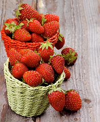 Image showing Forest Strawberries