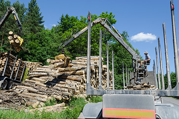 Image showing Man load felled trees logs with crane to trailer 