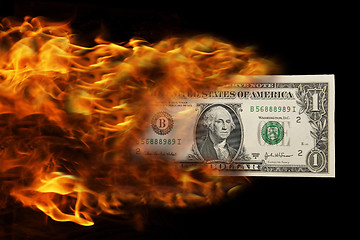 Image showing money on fire