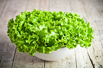 Image showing lettuce salad in a bowl