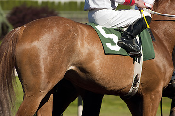 Image showing Jockey Leads Number Five Horse to Start Gate at Racetrack