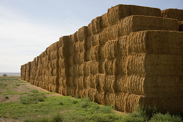 Image showing Hay Bales in Huge Stack on Corner of Farmers Field Farm Staple