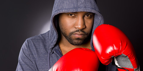 Image showing Solo Male Athlete Boxer Strikes Fighter Pose Hoodie Red Boxing G