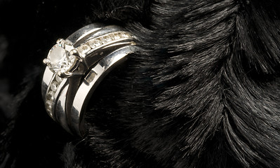 Image showing Wedding Ring