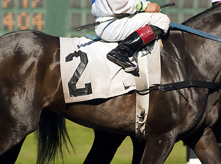 Image showing Jockey Leads Number Two Horse to Start Gate at Horserace