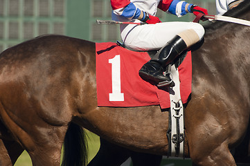 Image showing Number One Horse Prepares to Enter Start Gate at Horserace