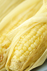 Image showing Sweet yellow corn