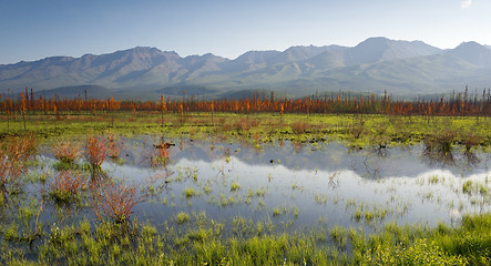 Image showing Scenic Marsh Water Panoramic Mountain Landscape Outback Alaska