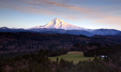 Image showing Lush Valley Leads To Mountan Landscape Mount Hood Cascade Range 