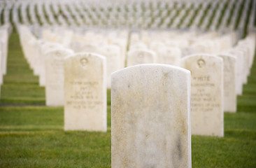 Image showing Marble Stone Military Headstones Hundreds Row Graveyard Cemetery