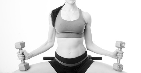 Image showing Slim Trim Female Torso Holds Barbells While Bench Weight Trainin