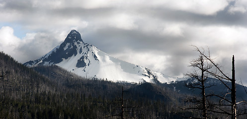 Image showing Ragged Burned Mountain Peak Mt. Washington Oregon Cascade Range