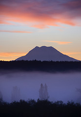 Image showing Fog Fills Nisqually Valley Before Sunrise Morning Light Mount Ra